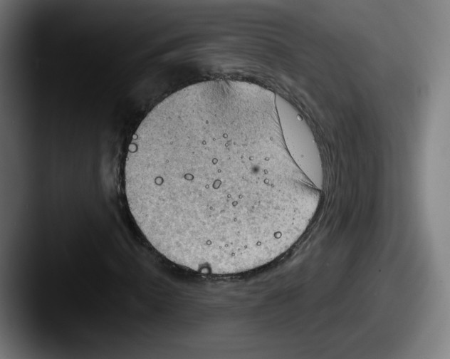 X0000087590820200705181217