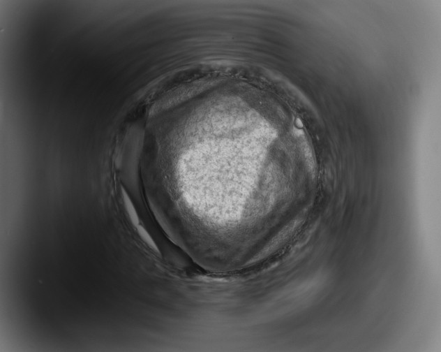 X0000087590821200705181217