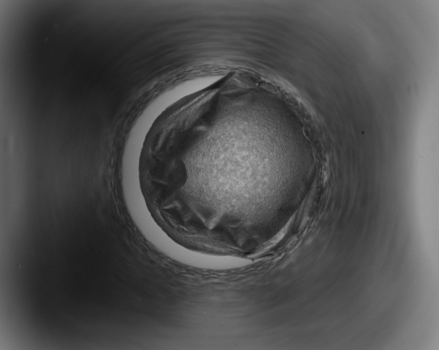 X0000087590822200705181217