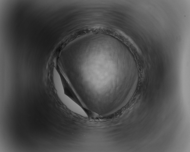 X0000087590823200705181217