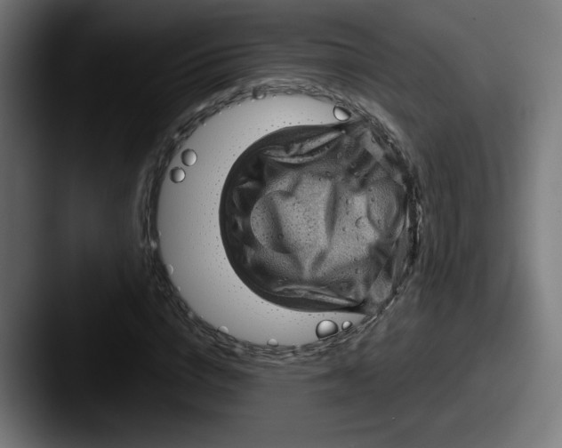 X0000087590824200705181217