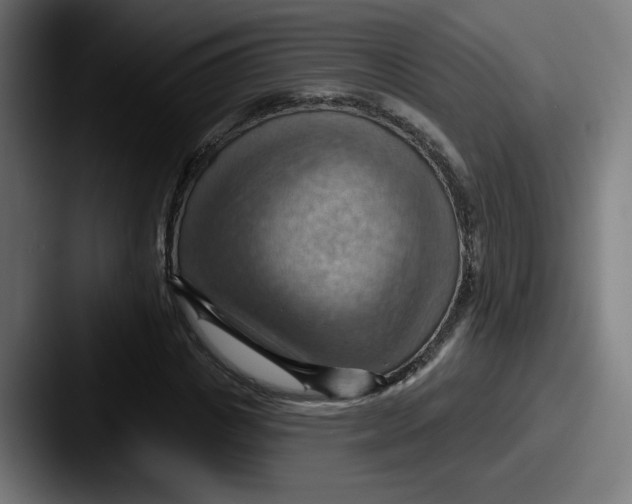 X0000087590825200705181217