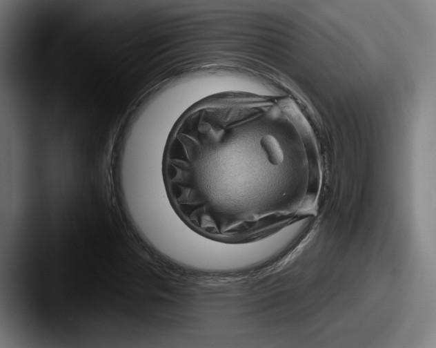 X0000087590826200705181217