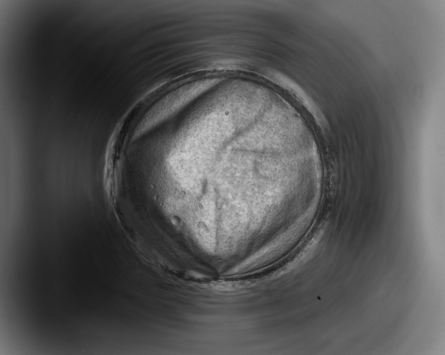 X0000087590827200705181217