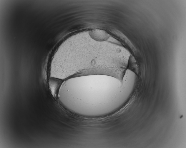 X0000087590828200705181217