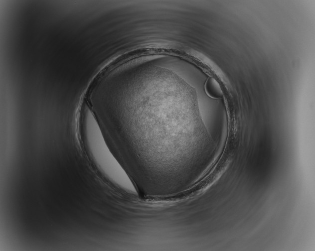 X0000087590829200705181217