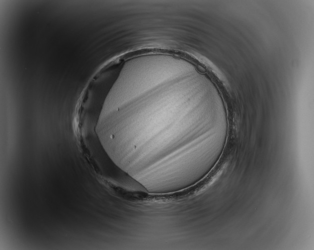 X0000087590830200705181217