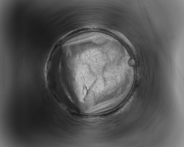 X0000087590831200705181217