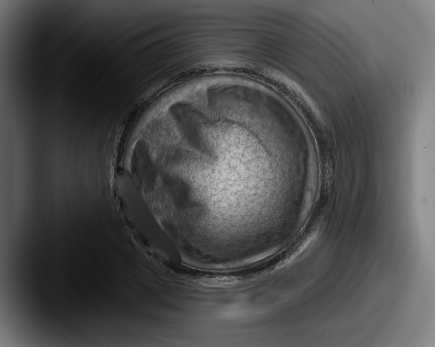 X0000087590833200705181217