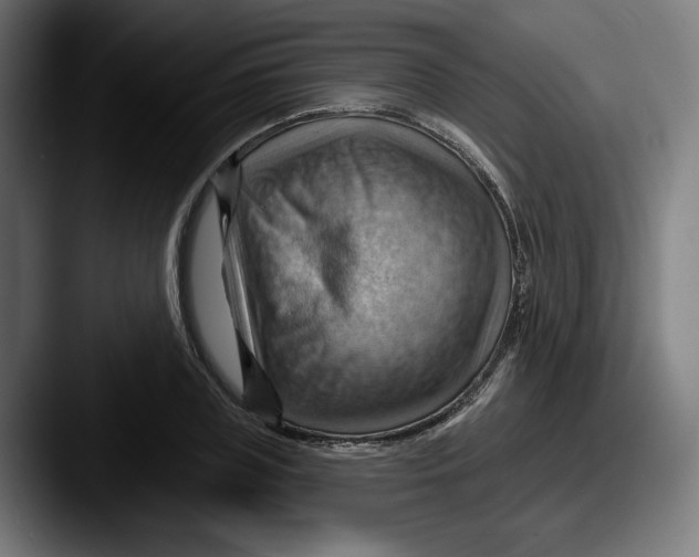 X0000087590835200705181217