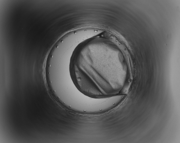 X0000087590836200705181217