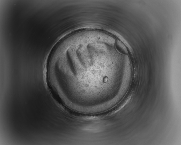 X0000087590837200705181217