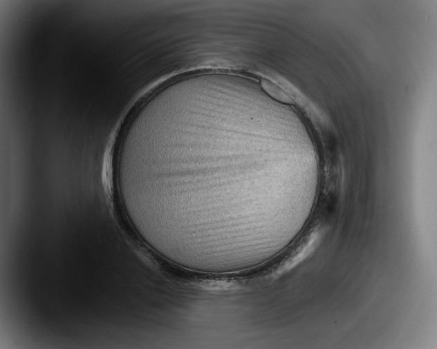 X0000087590838200705181217