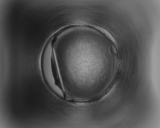 X0000087590839200705181217