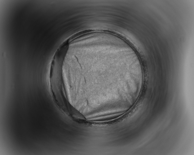 X0000087590840200705181217