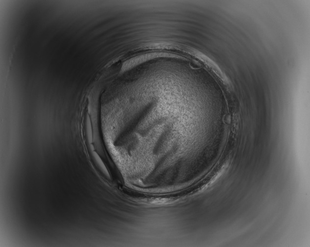 X0000087590841200705181217