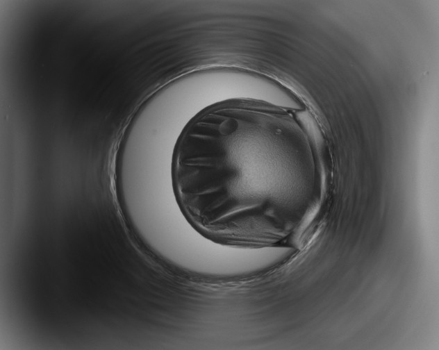 X0000087590842200705181217