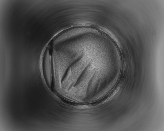 X0000087590843200705181217