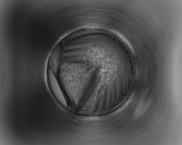 X0000087590845200705181217