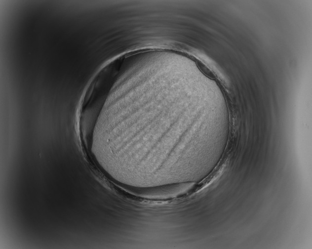 X0000087590846200705181218