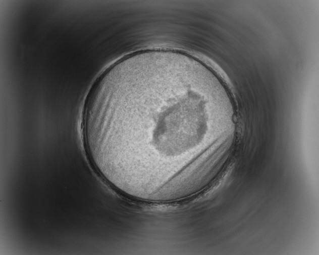 X0000087590847200705181218