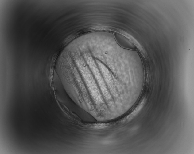 X0000087590849200705181218