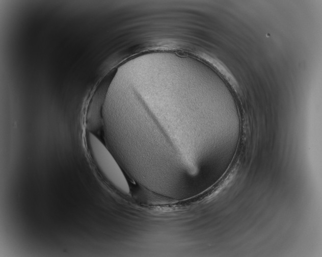 X0000087590850200705181218