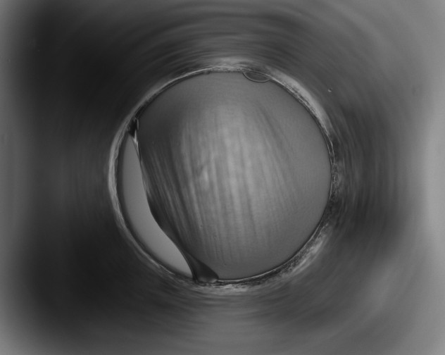 X0000087590851200705181218