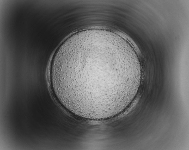 X0000087590852200705181218