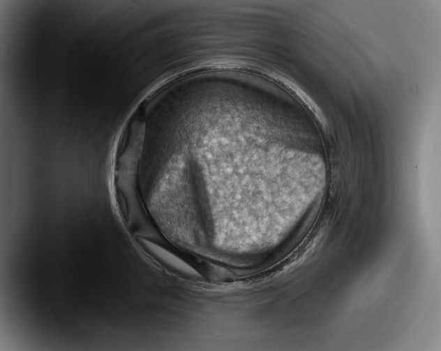 X0000087590853200705181218