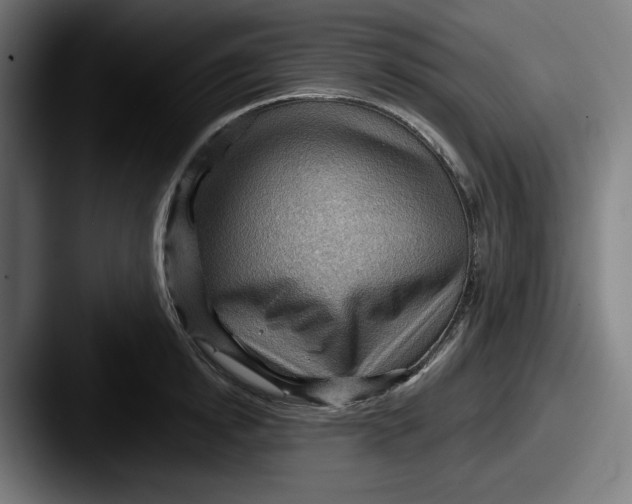 X0000087590854200705181218