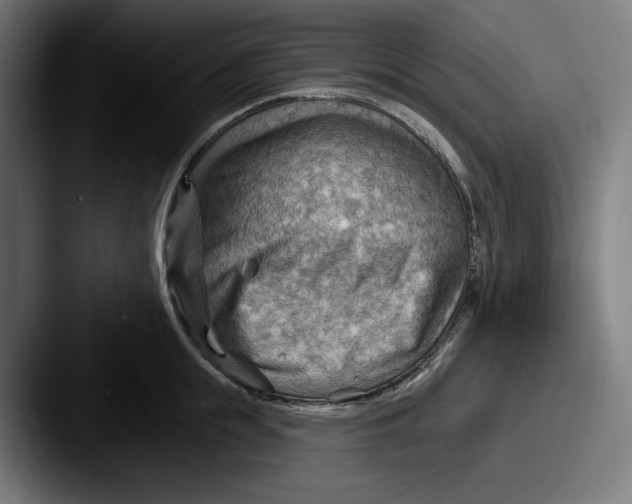 X0000087590855200705181218