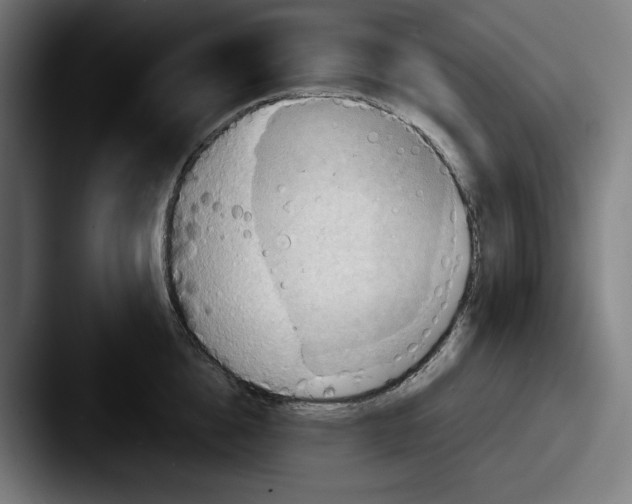 X0000087590856200705181218