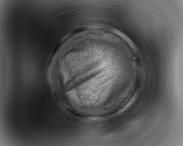 X0000087590857200705181218