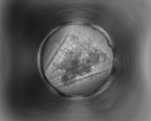 X0000087590859200705181218