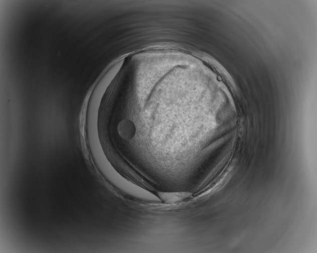 X0000087590860200705181218