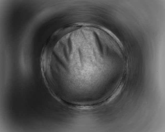 X0000087590862200705181218