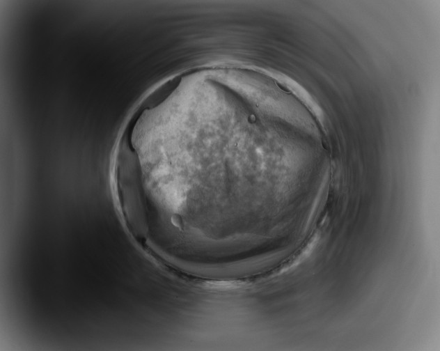 X0000087590863200705181218