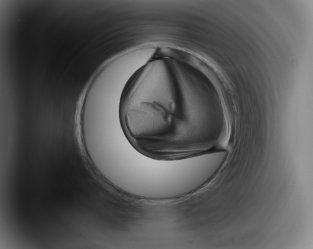 X0000087590864200705181218