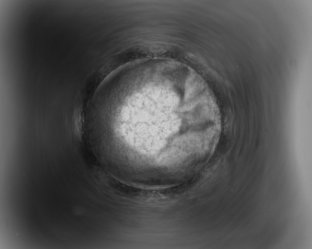 X0000087590866200705181217