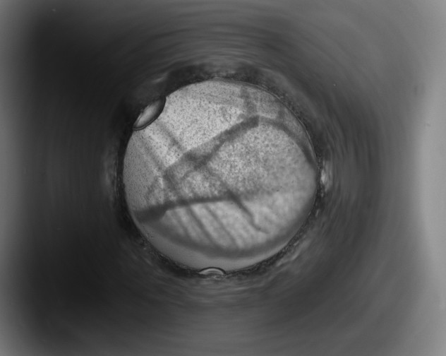 X0000087590867200705181217