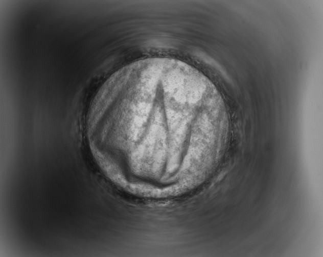 X0000087590870200705181217