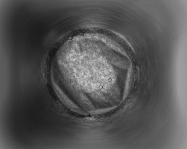 X0000087590871200705181217