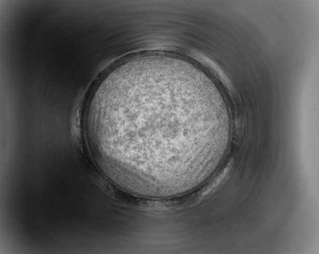 X0000087590875200705181217