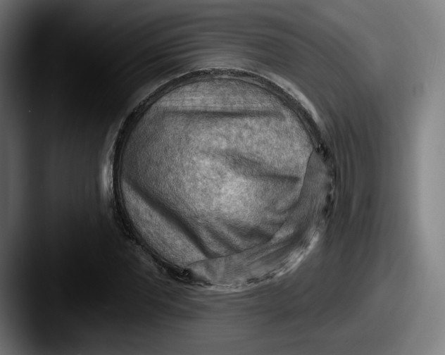 X0000087590877200705181217