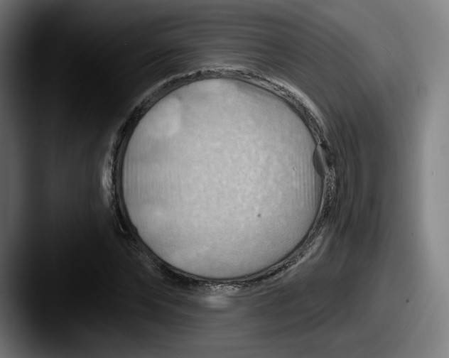 X0000087590878200705181217