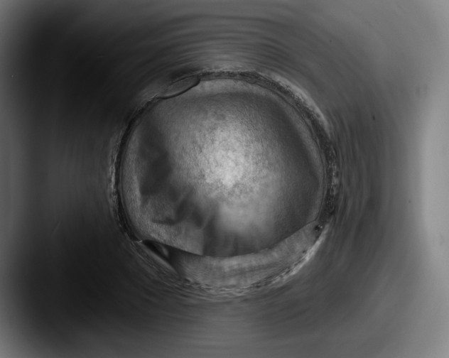 X0000087590881200705181217