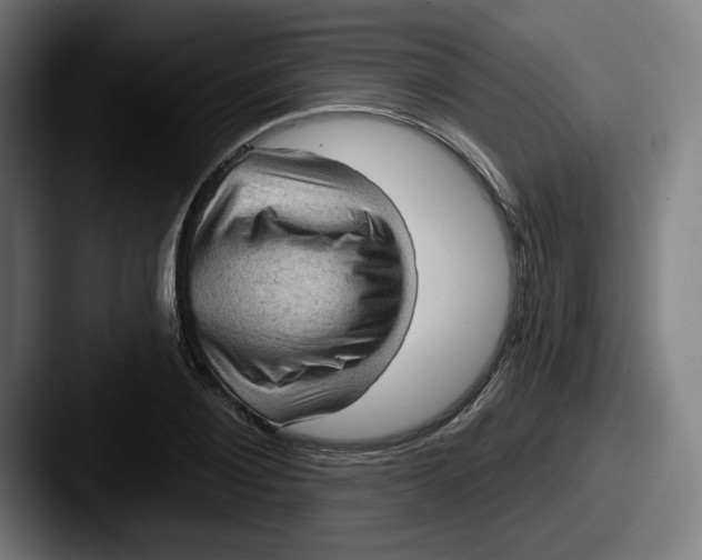 X0000087590884200705181217