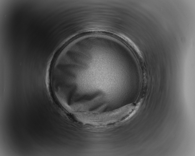 X0000087590885200705181217