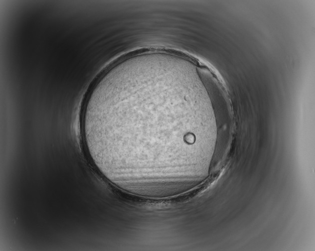 X0000087590887200705181217